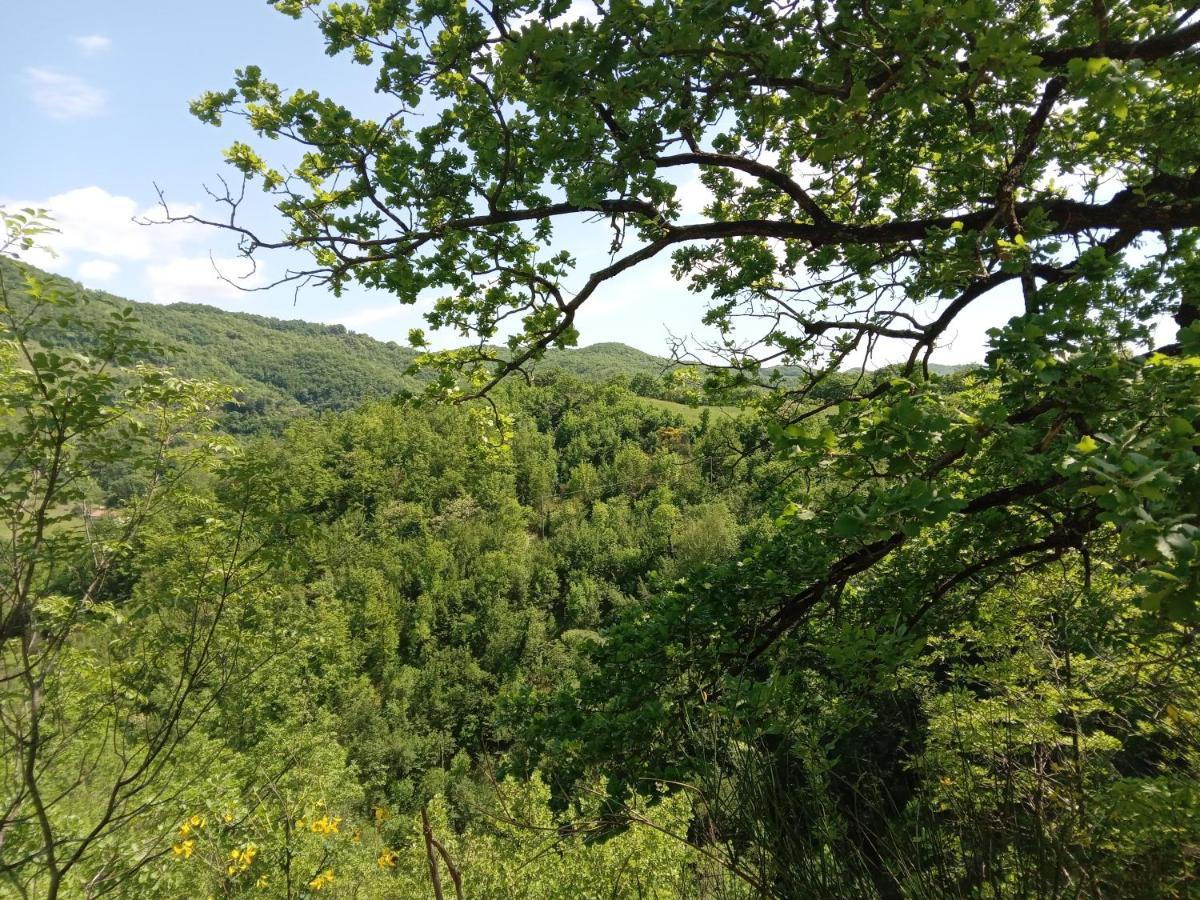 Affittacamere Casa Biron Molino Sant'Anna Esterno foto